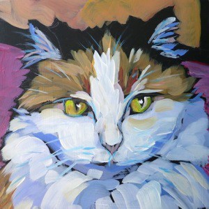 March 3- Callie-cat