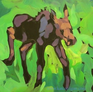 baby-moose-from-the-zoo6x6sm814